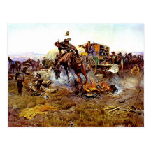 Bronc Postcard