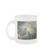 Bronze Frog on Froggy Mugs