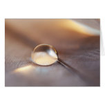 Bronze Pearl Greeting Card
