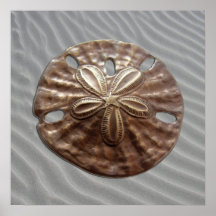 Bronze Sand Dollar Poster