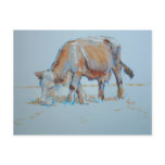 Bronzed Bovine postcards