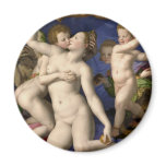 Bronzino: Venus, Cupid, Folly and Time magnets