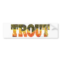 Brook Trout Art Bumper Stickers