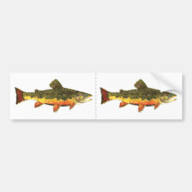Brook Trout Fish Painting Bumper Sticker