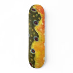 Brook Trout Fishing skateboards