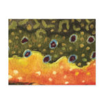 Brook Trout Fly Fishing Post Cards