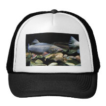 Brook trout mesh hat