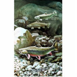 Brook Trout photo sculptures