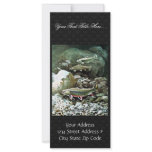 Brook Trout rack cards