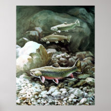brook trout swimming posters