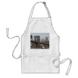 Brooklyn Bridge aprons