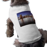 Brooklyn Bridge pet clothing