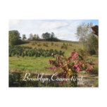 Brooklyn,Ct postcards
