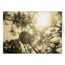 Brooklyn Water Tower 4 Greeting Cards