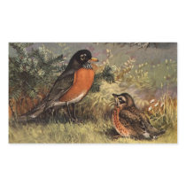 Brooks' Robins