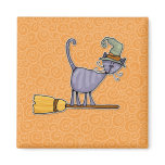 broomstick kitty magnets