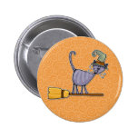 broomstick kitty pin