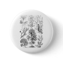 Brown Algae Pinback Buttons