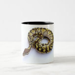 Brown and Gold Ball Python 2 Coffee Mug