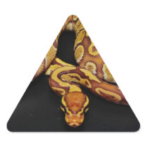 Brown and Gold Ball Python Triangle Stickers