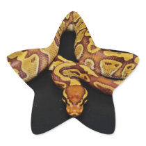 Brown and Gold Ball Python Star Stickers