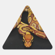 Brown and Gold Ball Python Triangle Stickers