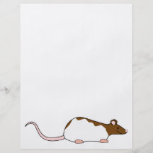 Brown and White Hooded Pet Rat. Flyer