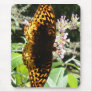 Brown and Yellow Butterfly IMG_1553 Mouse Pad