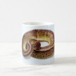 Brown Ball Python Resting Coffee Mugs