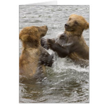 Brown Bear Cubs Playing in Water Cards