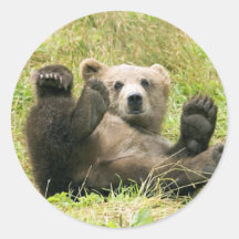 Brown Bear Kodiak Cub Gifts Sticker