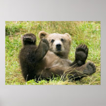 Brown_Bear_Kodiak_Cub_NWR Print