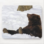Brown Bear Mousepad