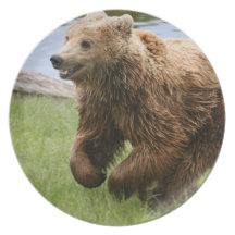 Brown Bear Running Dinner Plate