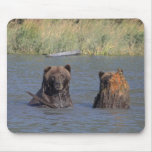 Brown Bears Mousepad