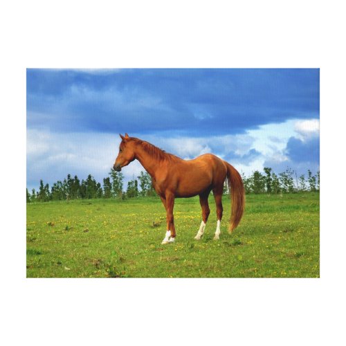 Brown beauty on Summer day wrappedcanvas