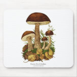 Brown Birch Bolete Mushroom Mousepad