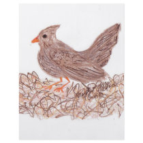 Brown Bird