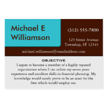 Brown Blue Corner RESUME Business Cards