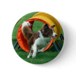 Brown Border Collie Agility Tunnel buttons