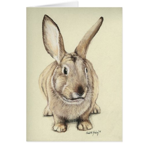 "Brown Bunny" Animal Art Greeting Card