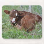 brown calf mousepad