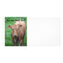 Brown Cow Photocard Photo Greeting Card