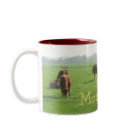 Brown Cows Mug