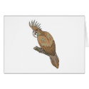 brown crown macaw cards