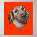 Brown dog illustration posters