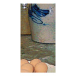 Brown Eggs and Ginger Jars photo cards