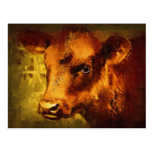 Brown Eyed Girl - Cow Oil Painting Post Cards