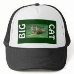 Brown Fur Black Stripes Tiger Sitting Big Cat Hat