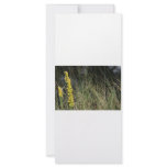 Brown green grass background design photo rack cards